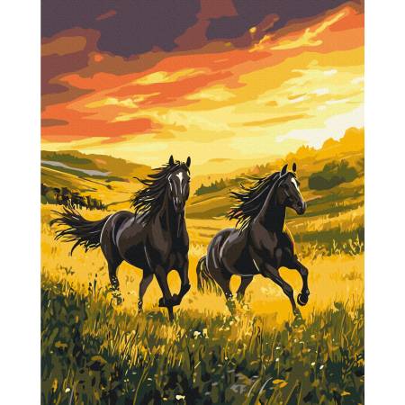 Картина за номерами Нескорений біг, BS54424