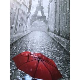 Зонтик в Париже 