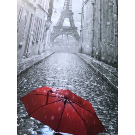 Картина за номерами Зонтик в Париже , 11207-AC