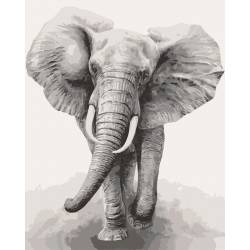 Африканський слон 