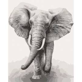 Африканський слон 