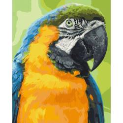 Красивий папуга ара