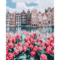 Тюльпани Амстердама