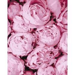 Розовые пионы натюрморт