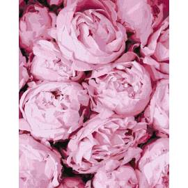 Розовые пионы натюрморт