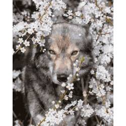 Волк в цветении