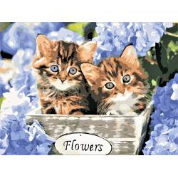Кошенята у квітах