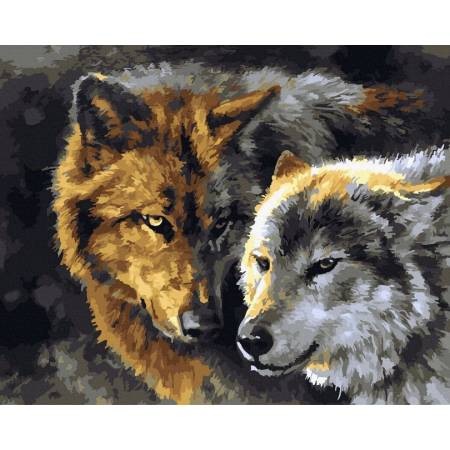Картина за номерами Вовк з вовчицею у лісі, GX24985