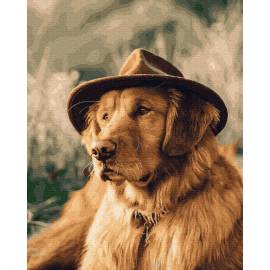 Собака в капелюсі