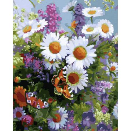 Картина за номерами Польові квіти, GX33952