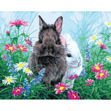 Картина за номерами Двоє кролів, GX36237