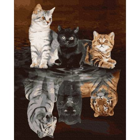 Картина за номерами душі котячих , GX38340