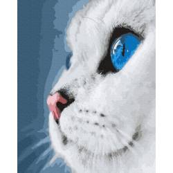 Блакитноокий кіт