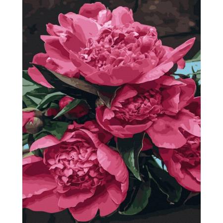 Картина за номерами Благородні квіти, GX45087