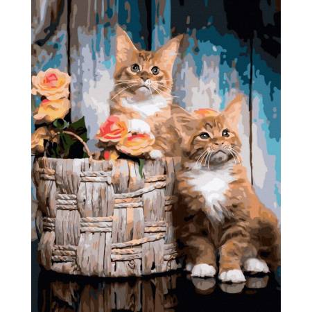Картина за номерами Руді грайливі кошенята , GX45151