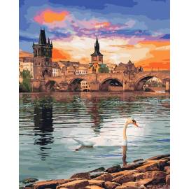 Лебедь в Праге