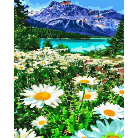 Картина за номерами Мальовниче гірське озеро, GX45518