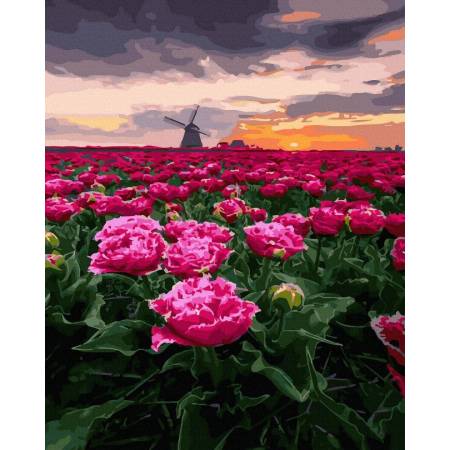 Картина за номерами Вітряк у квітковому полі, GX45733