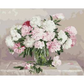 Бело-розовые пионы