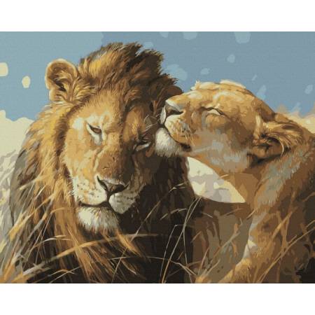 Картина за номерами Ніжність левів, GX7462