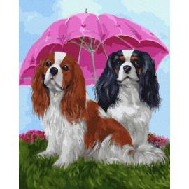 Собачки під парасолькою 