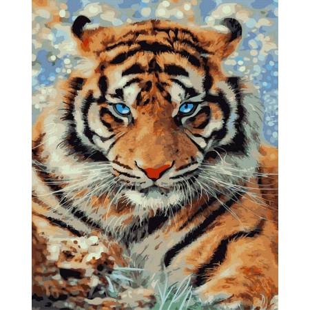 Картина за номерами Вид на тигра, GX43218