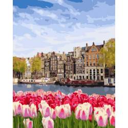 Красивые тюльпаны Амстердама 