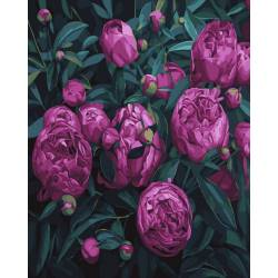 Пурпурові тюльпани 