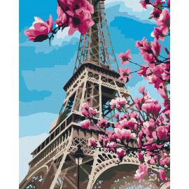 Цвітіння магнолій у Парижі