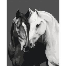 Чорне і біле серце