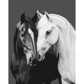 Чорне і біле серце