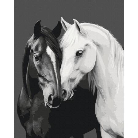 Картина за номерами Чорне і біле серце, BS54418