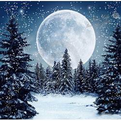 Місяць у зимовому пейзажі