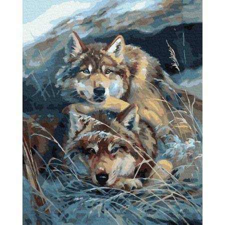 Картина за номерами Вовки, GX33343