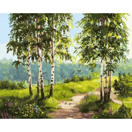 Картина за номерами Лісова стежка , GX45778