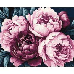 Ніжні пелюстки