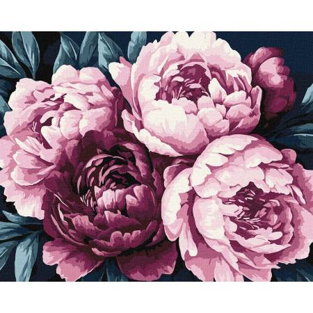 Картина за номерами Ніжні пелюстки, KHO3306