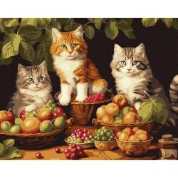 Котики и фрукты