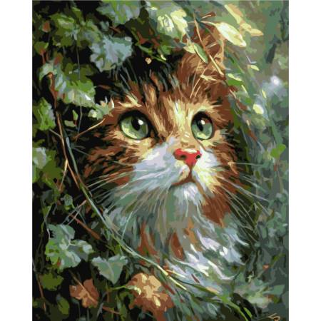 Картина за номерами Миле кошеня зі смарагдовими очима , LW2002-01