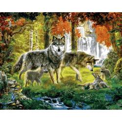 Семья волков в лесу