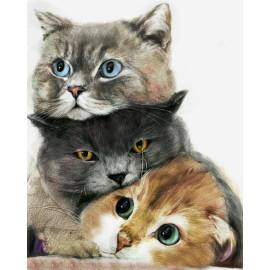 Три милых котика 