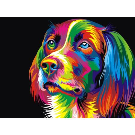 Картина за номерами Різнобарвний пес, VK003