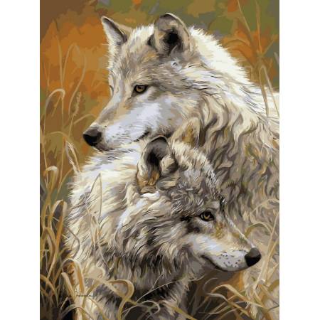 Картина за номерами Степові вовки, VK034