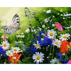 Цветочное поле и бабочки в раме