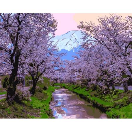 Картина за номерами Квітучі дерева сакури, VP1126