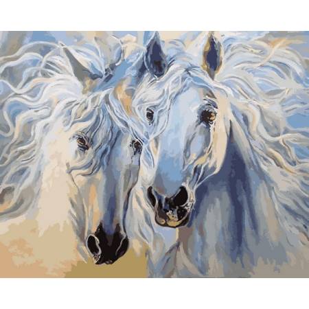 Картина за номерами Білосніжна пара коней, VP1193