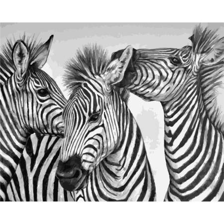Три зебры 