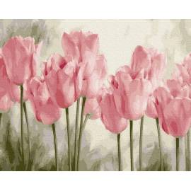 Рожеві ніжні тюльпани
