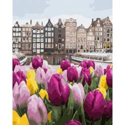 Цветы из Амстердама