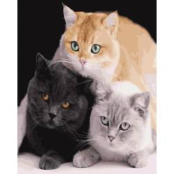 Кошачье трио дружба